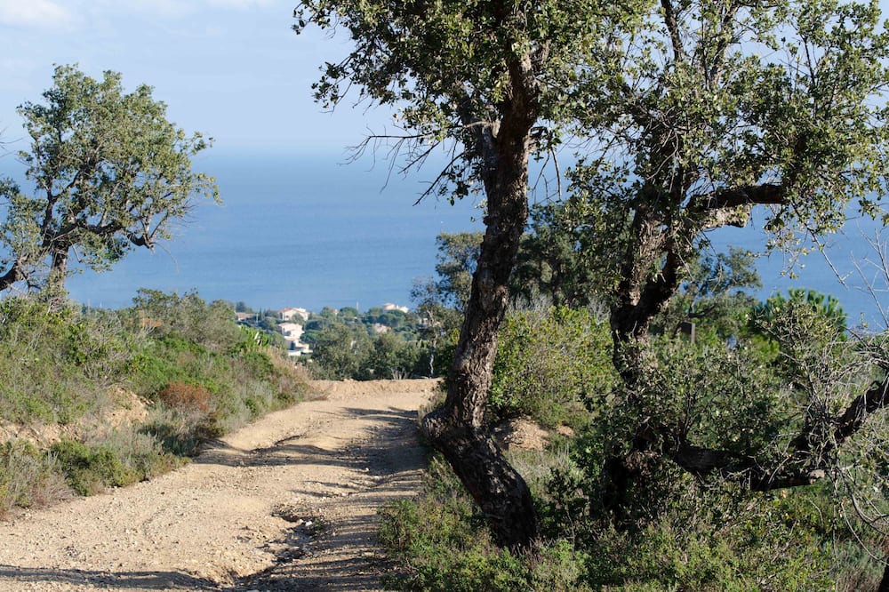 Photo of Outdoor in Saint-Aygulf