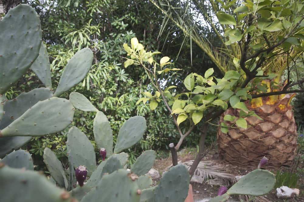Photo of Outdoor in Saint-Aygulf