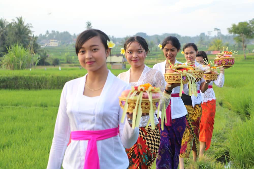 Photo of Others in Melayang
