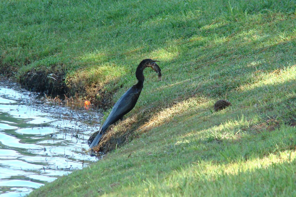 Photo of Others in Lake Berkley