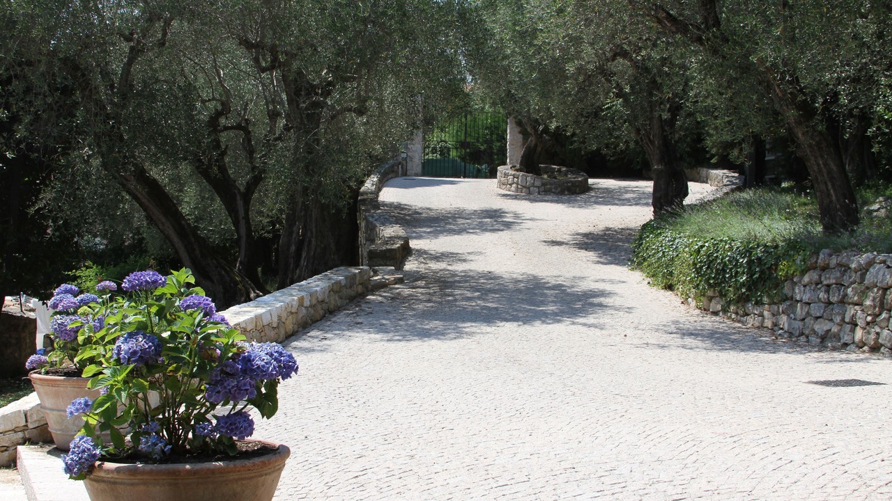 Photo of Outdoor in Le Rouret