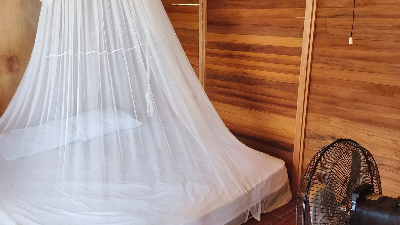 Photo of Bedroom in Arborek
