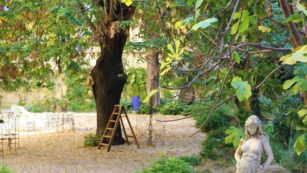 Photo of Outdoor in Quartier du Port