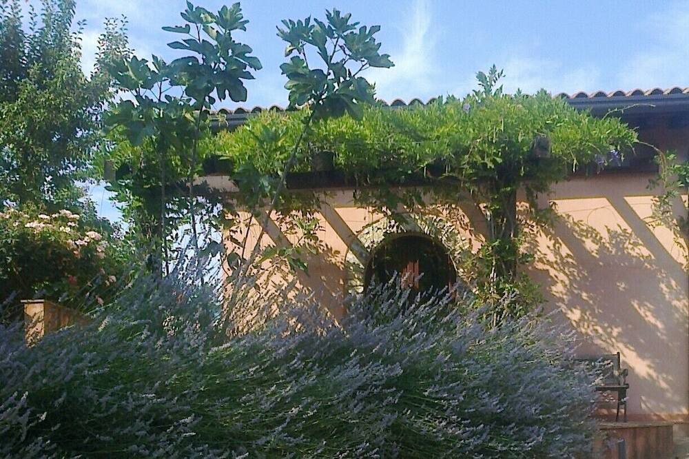 Photo of Outdoor in Fivizzano