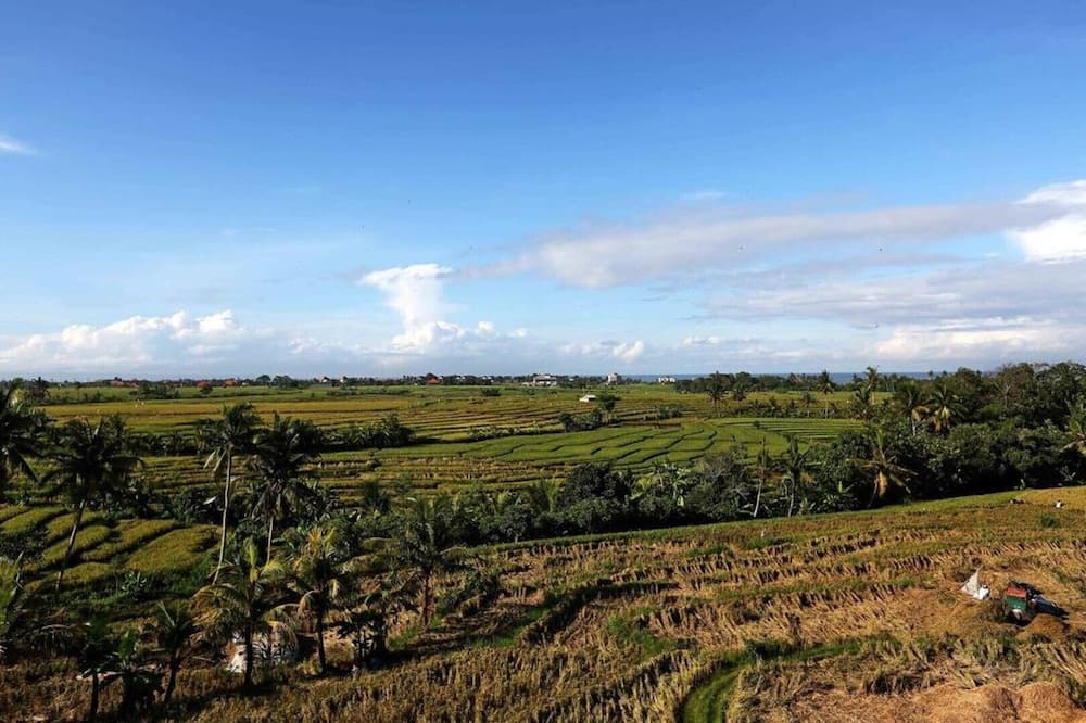 Photo of Outdoor in Seseh