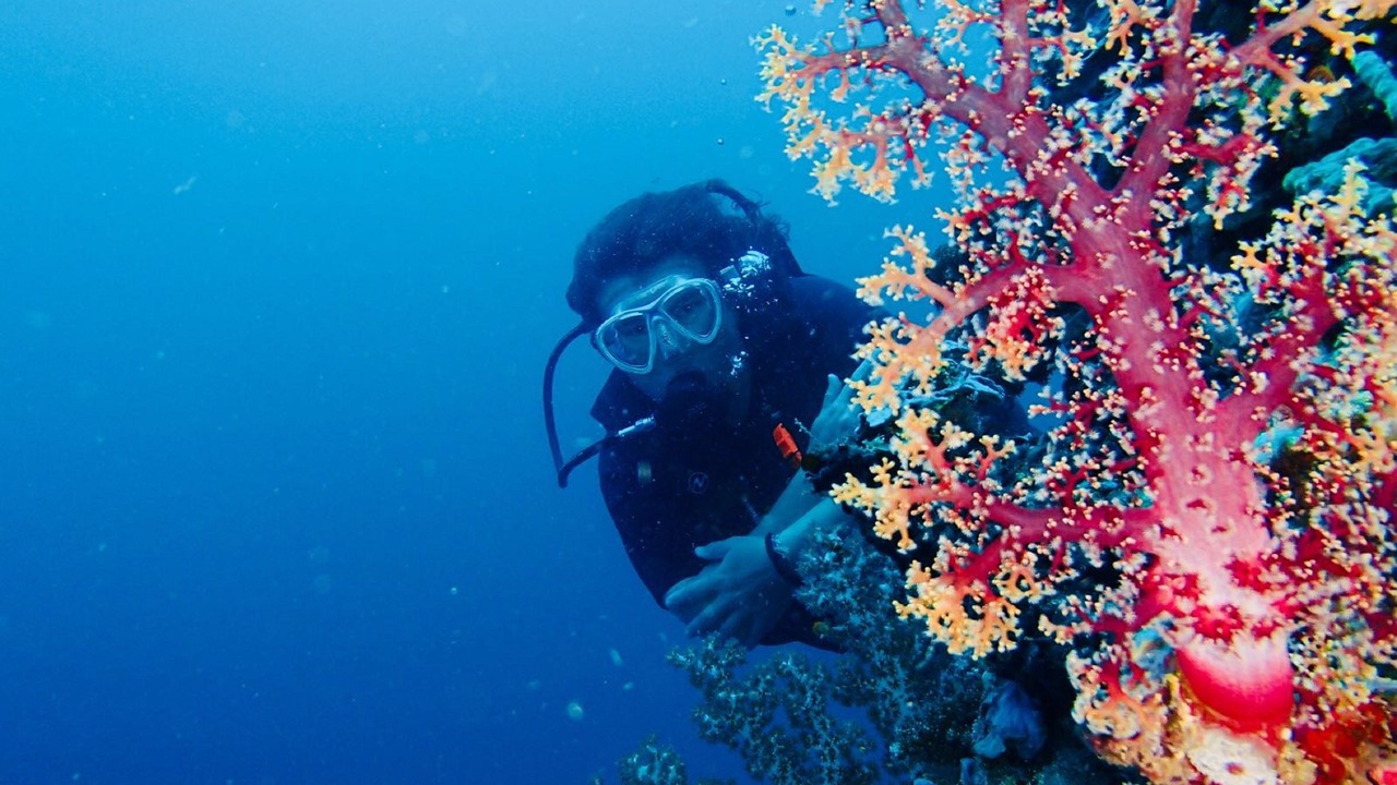 Photo of Others in Pemuteran