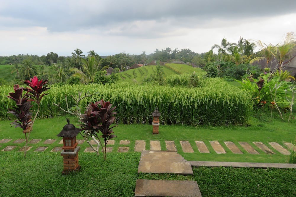Photo of Outdoor in Selemadeg