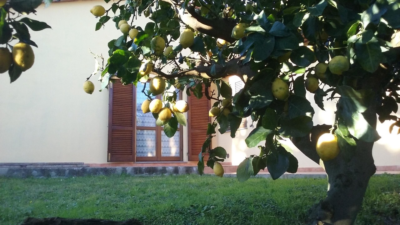 Photo of Outdoor in Donoratico