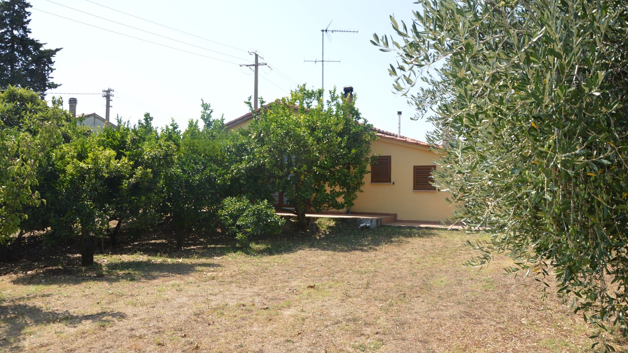 Photo of Outdoor in Donoratico