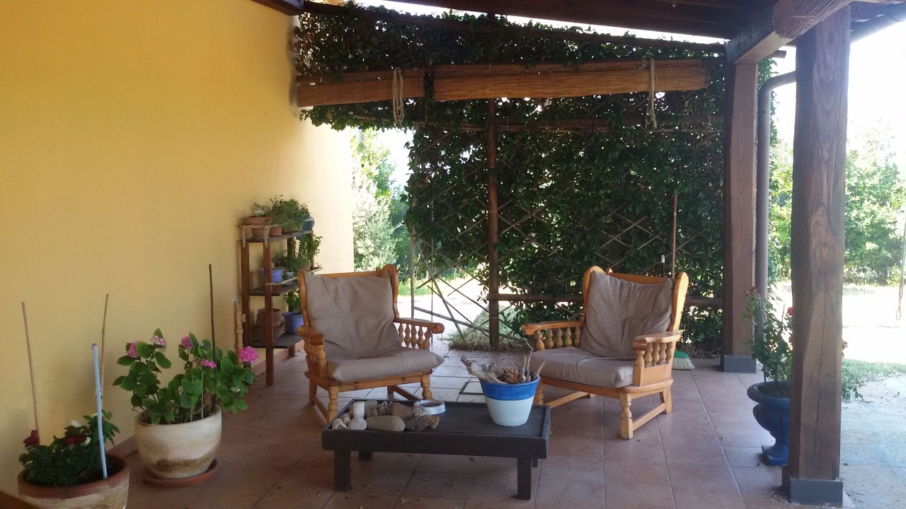 Photo of Outdoor in Donoratico