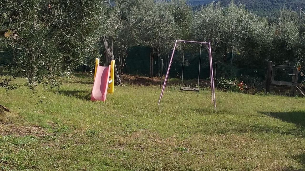 Photo of Outdoor in Donoratico