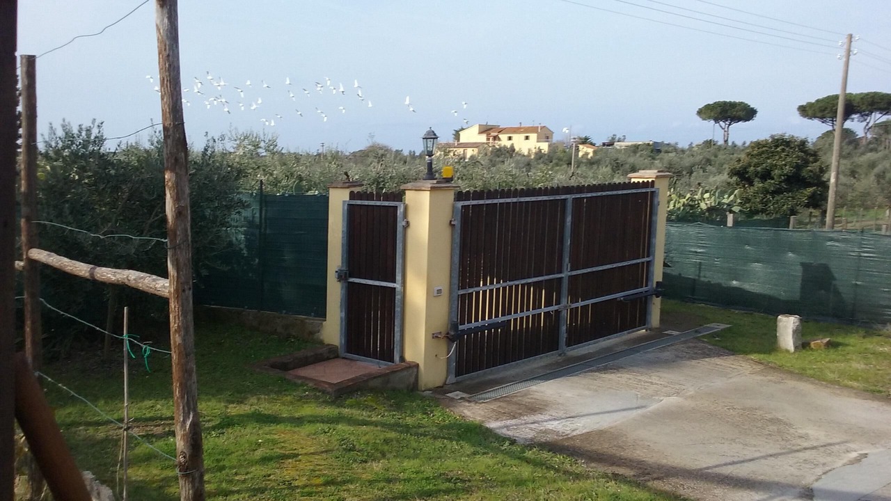 Photo of Outdoor in Donoratico
