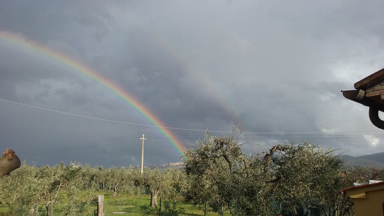 Photo of Others in Donoratico