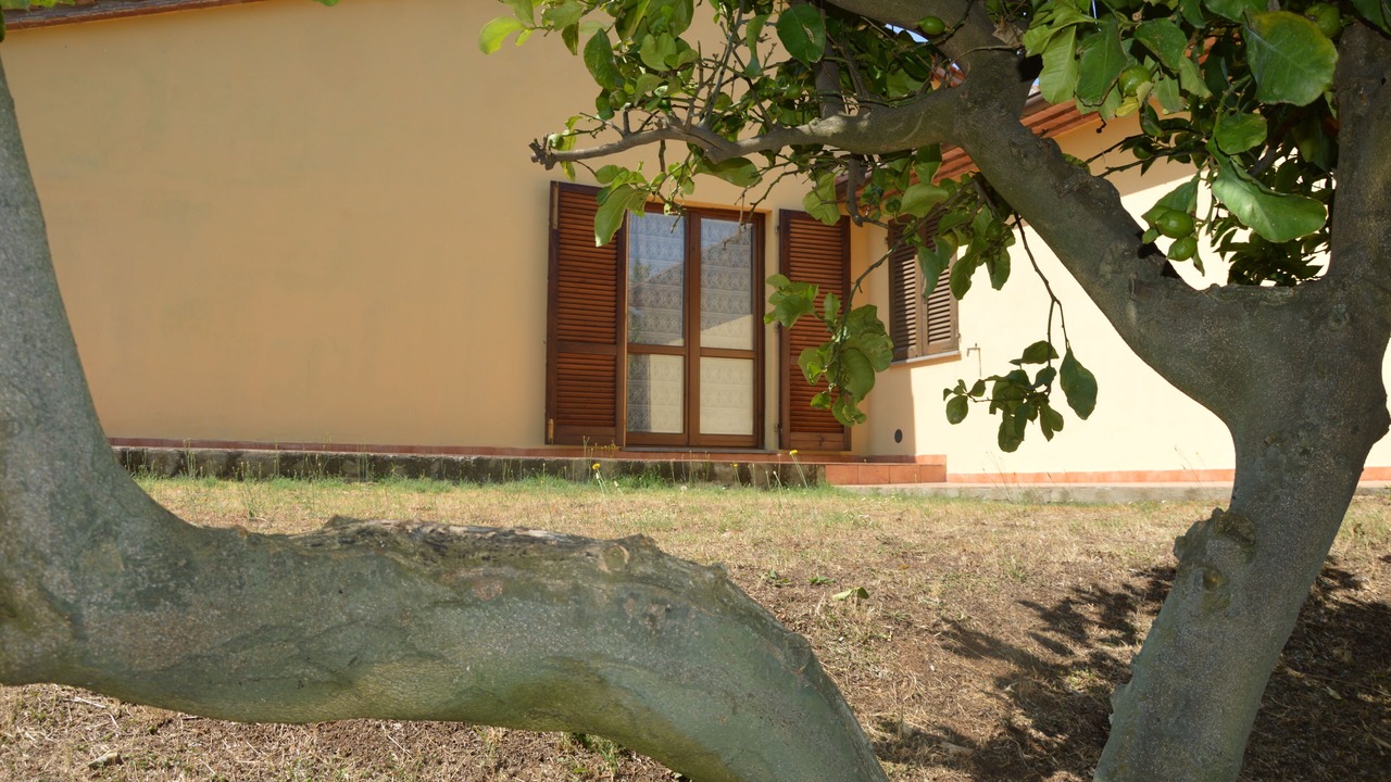 Photo of Outdoor in Donoratico