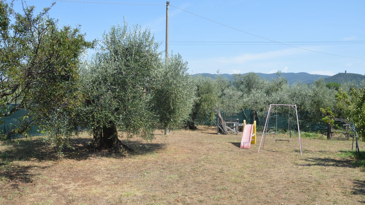 Photo of Others in Donoratico
