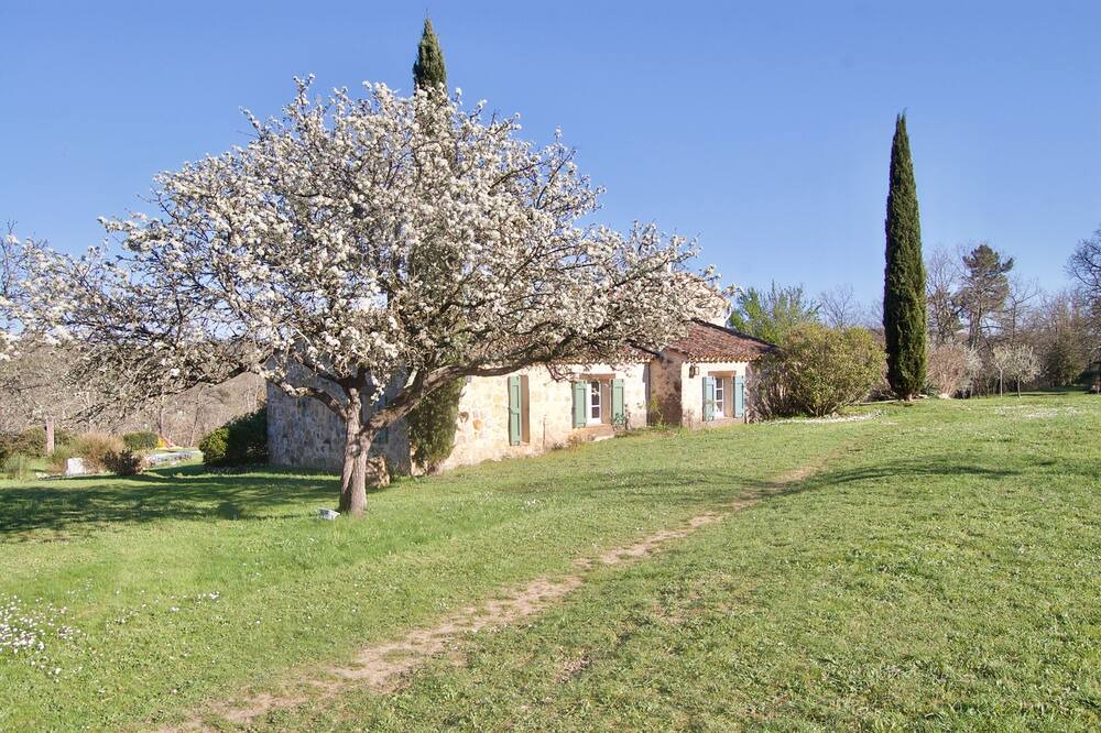 Photo of Outdoor in Saint-Paul-en-Foret