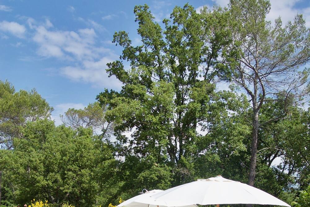 Photo of Outdoor in Saint-Paul-en-Foret