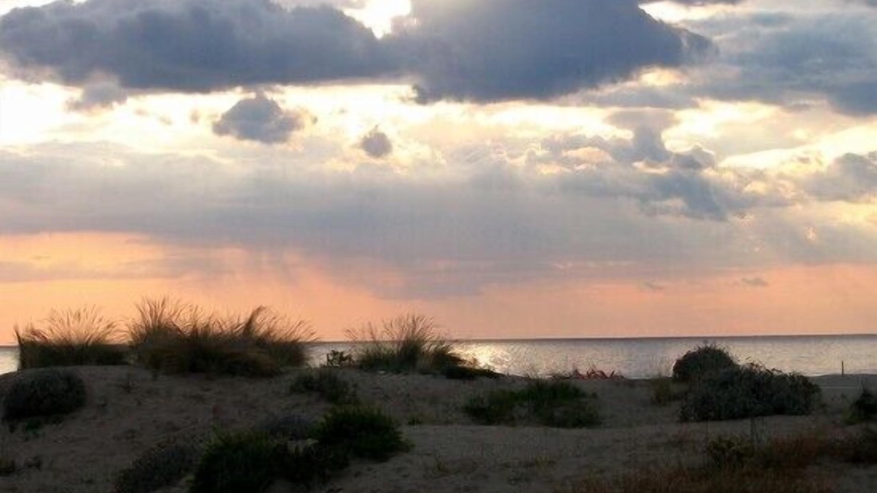 Photo of Others in Forte dei Marmi