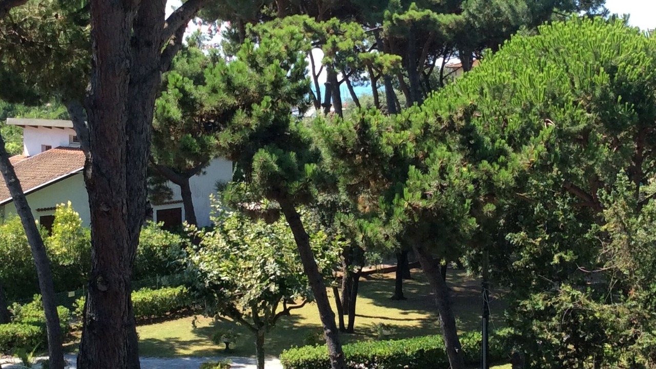 Photo of Outdoor in Forte dei Marmi