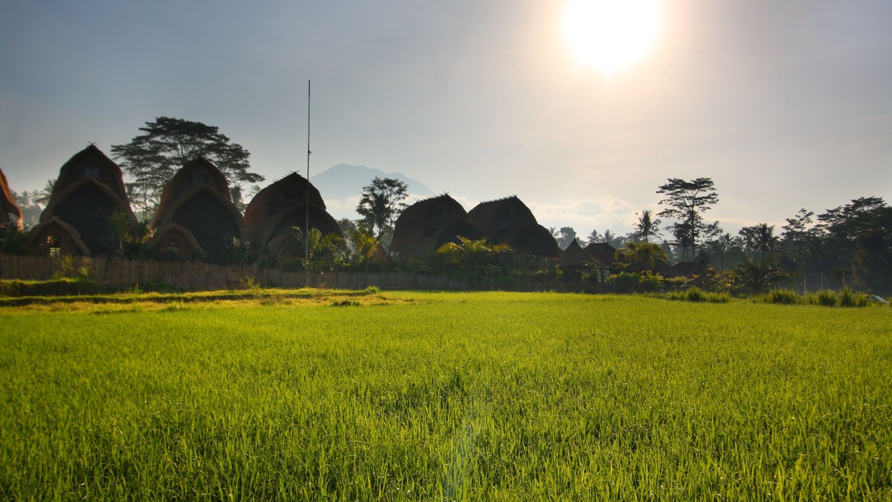 Photo of Outdoor in Undisan