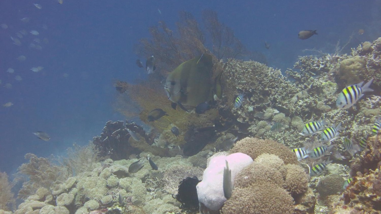 Photo of Outdoor in Pemuteran