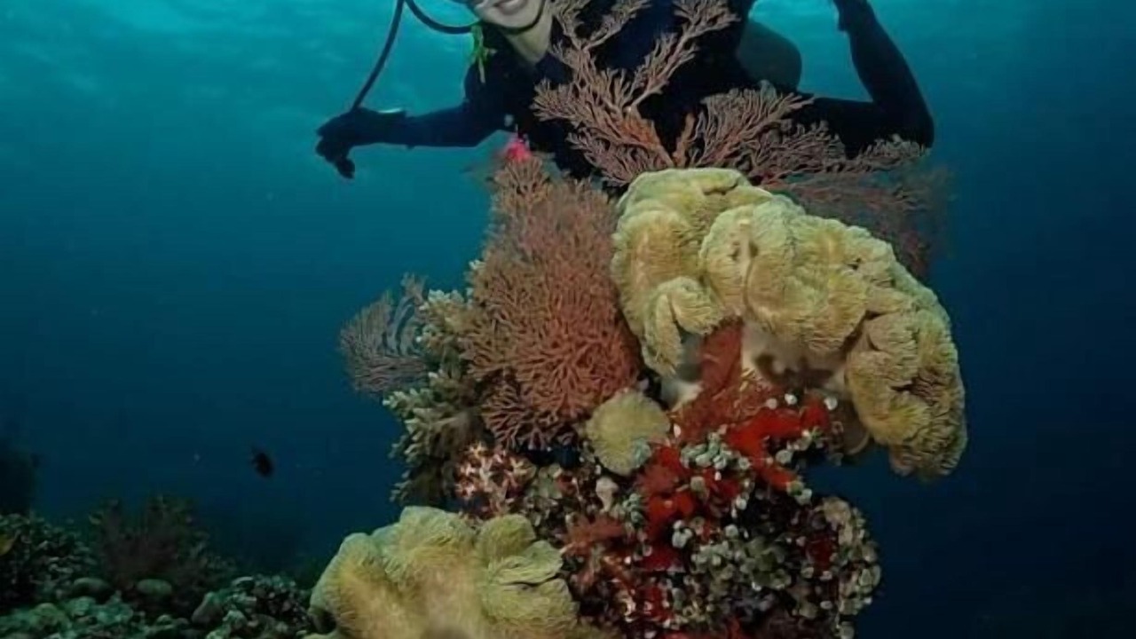 Photo of Others in Pejarakan