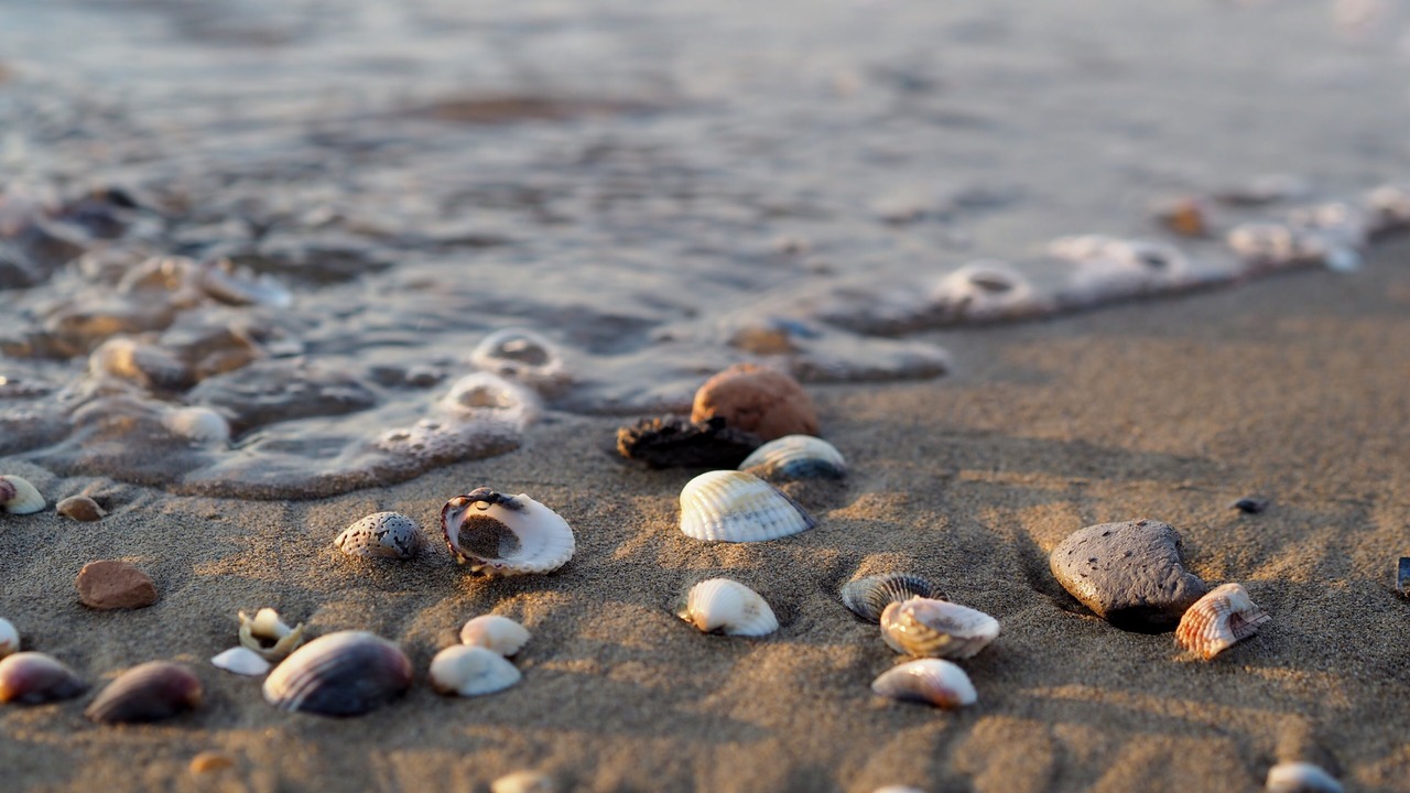 Photo of Outdoor in Bibione