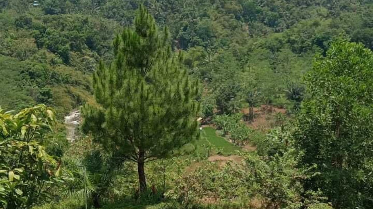 Photo of Outdoor in Cikidang