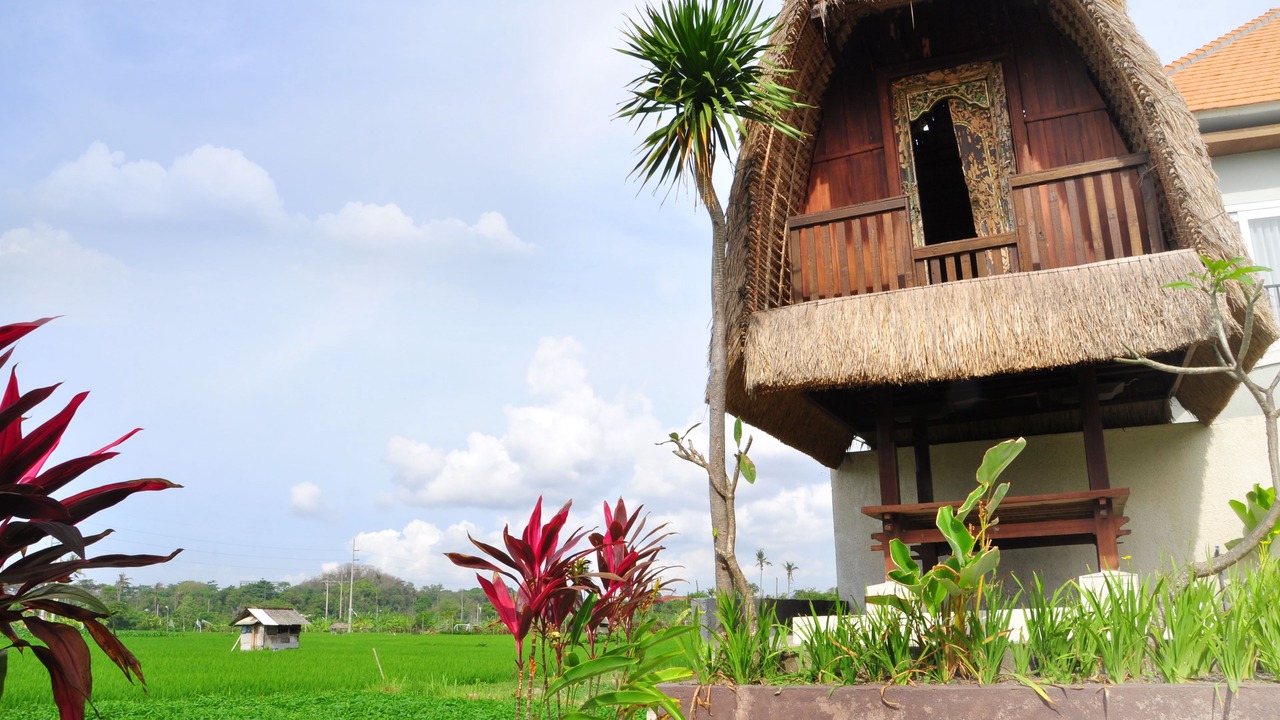Photo of Outdoor in Denpasar Timur