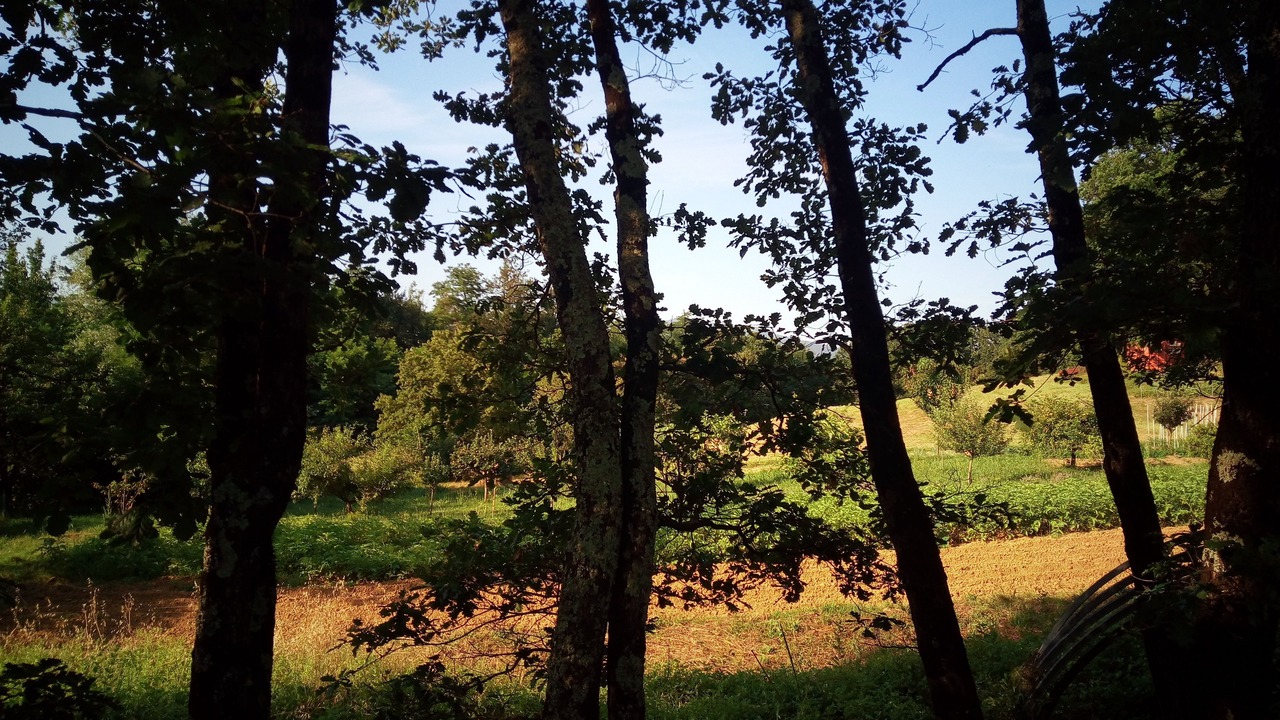 Photo of Outdoor in Masero