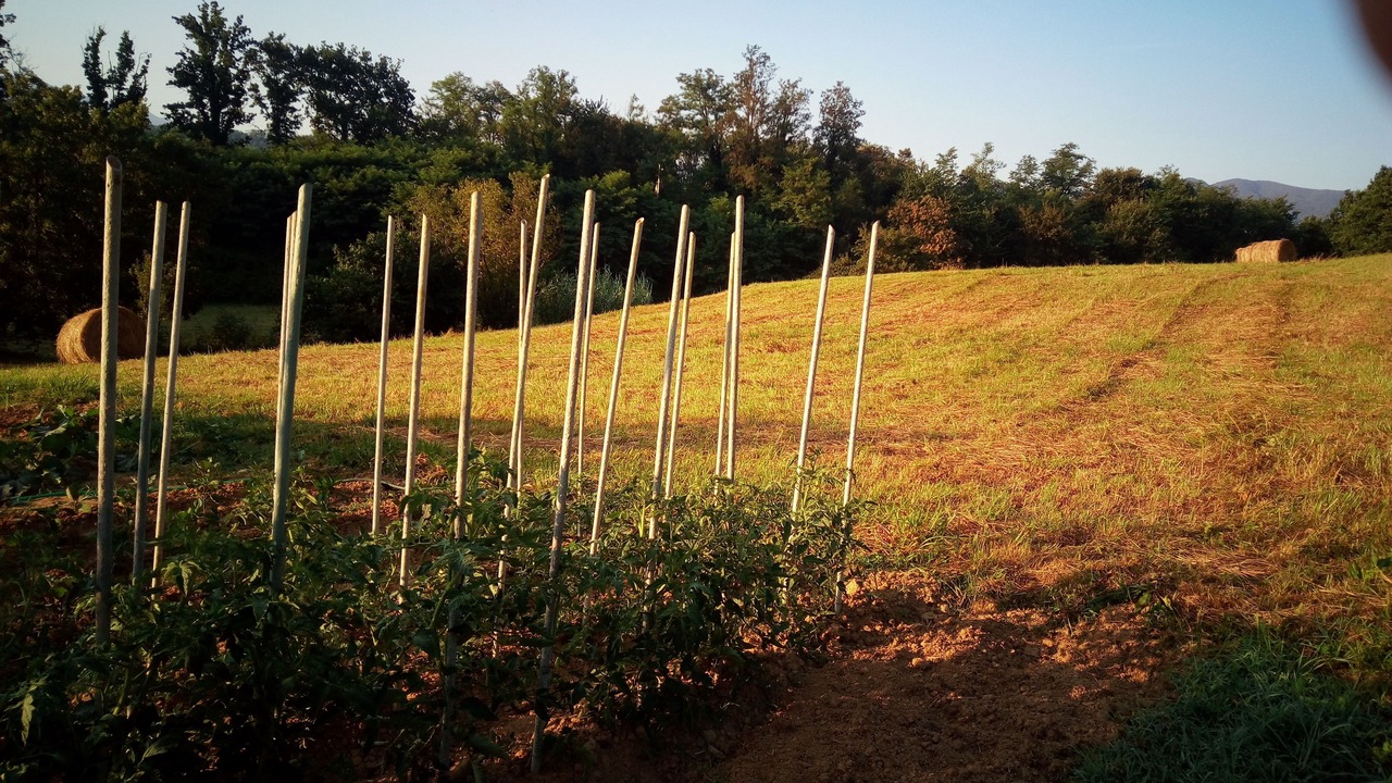 Photo of Outdoor in Masero