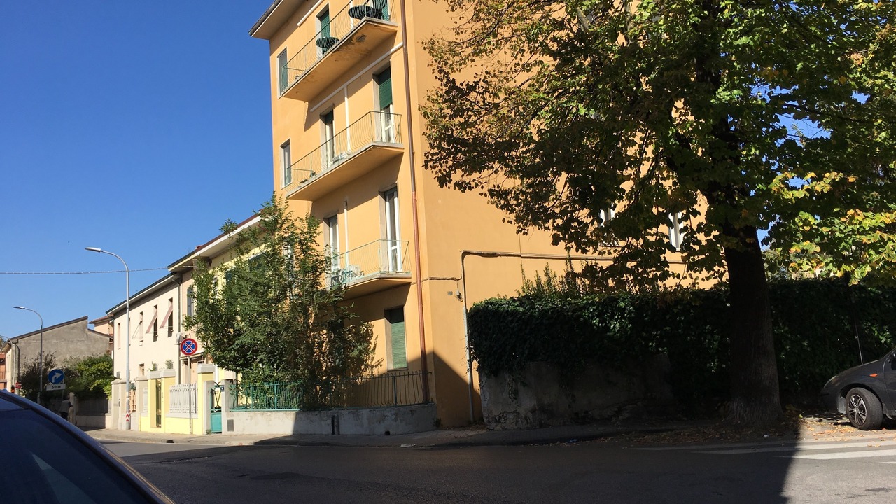 Photo of Others in Pisa