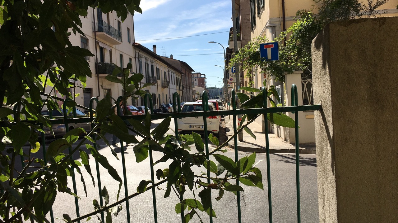 Photo of Others in Pisa