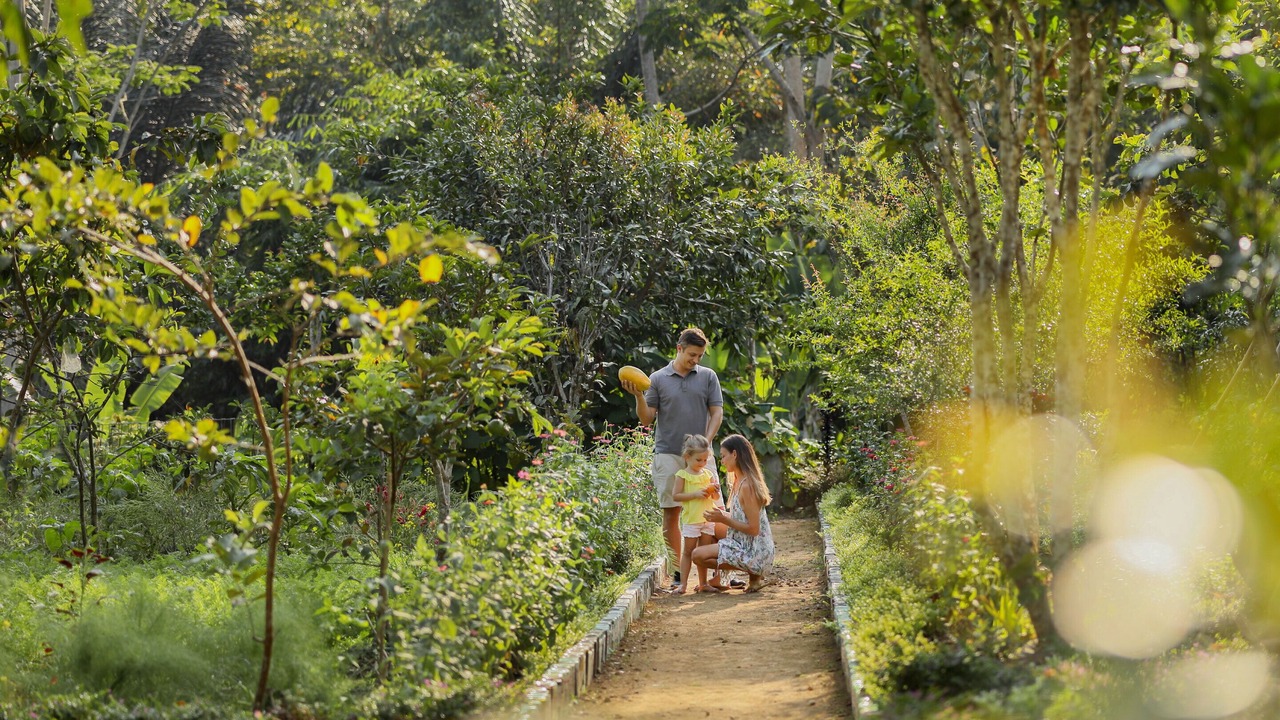 Photo of Others in Payangan