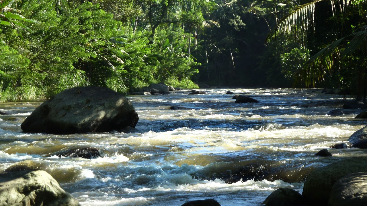 Photo of Outdoor in Kedewatan