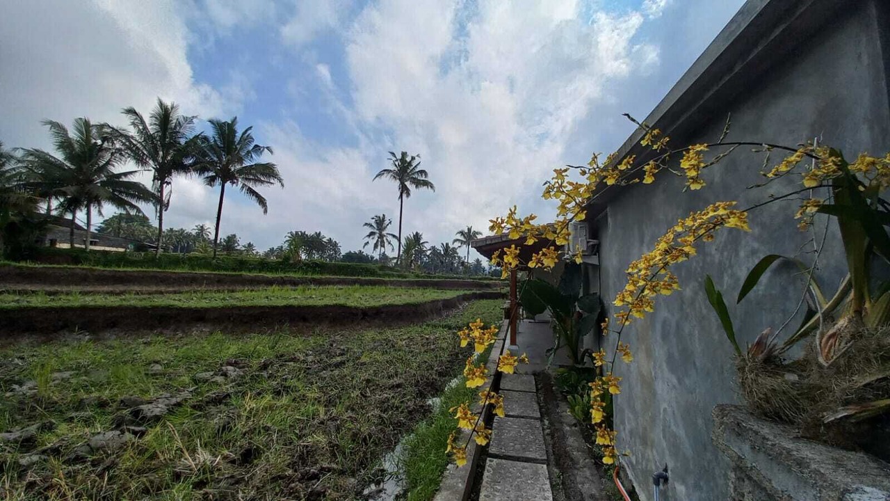 Photo of Outdoor in Tegallalang