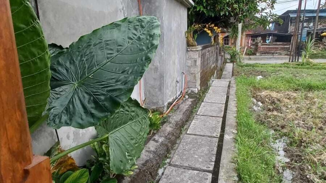 Photo of Outdoor in Tegallalang