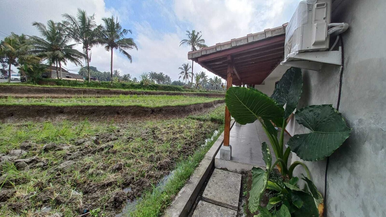 Photo of Outdoor in Tegallalang