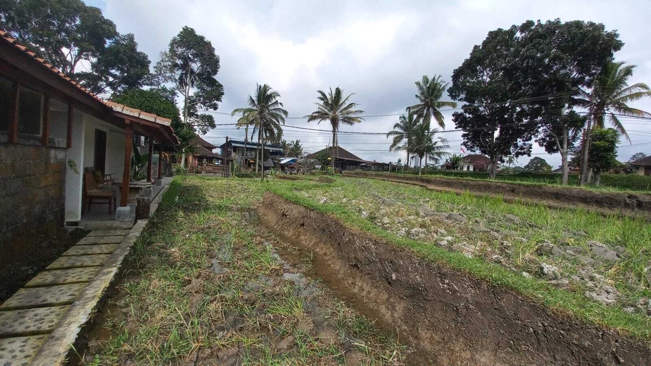 Photo of Outdoor in Tegallalang