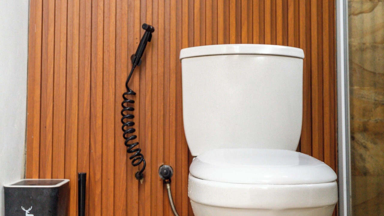 Photo of Bathroom in Dieng