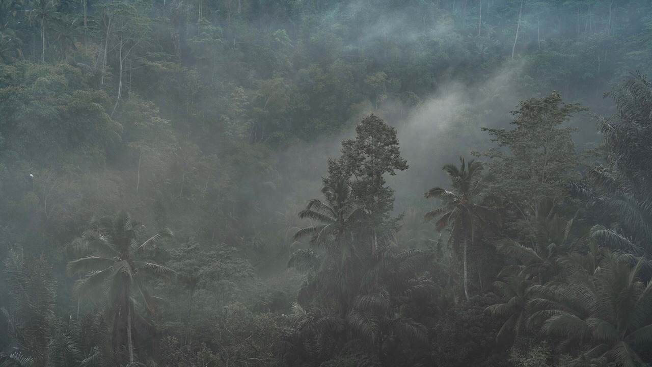 Photo of Outdoor in Sebatu