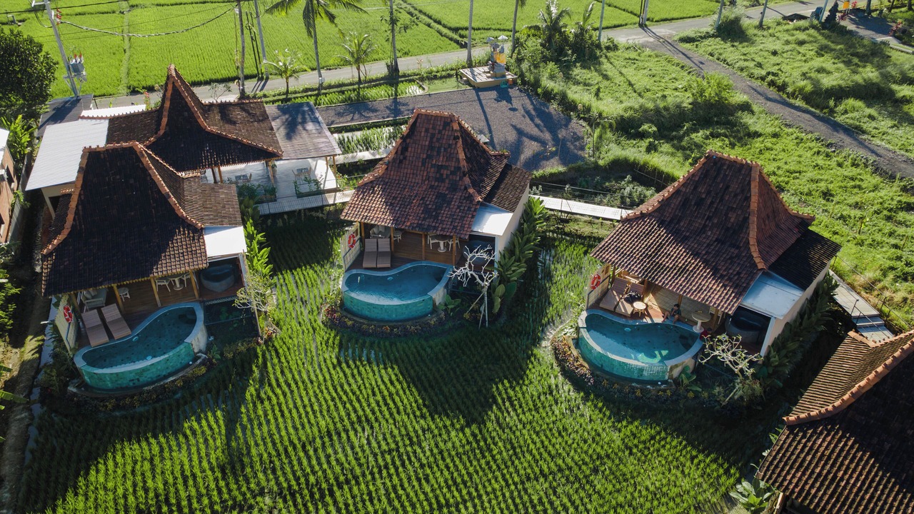 Photo of Outdoor in Kemenuh
