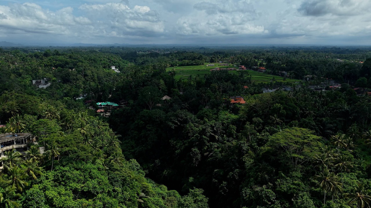 Photo of Outdoor in Kedewatan