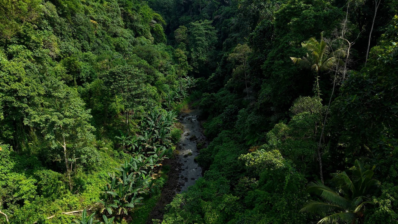 Photo of Outdoor in Kedewatan
