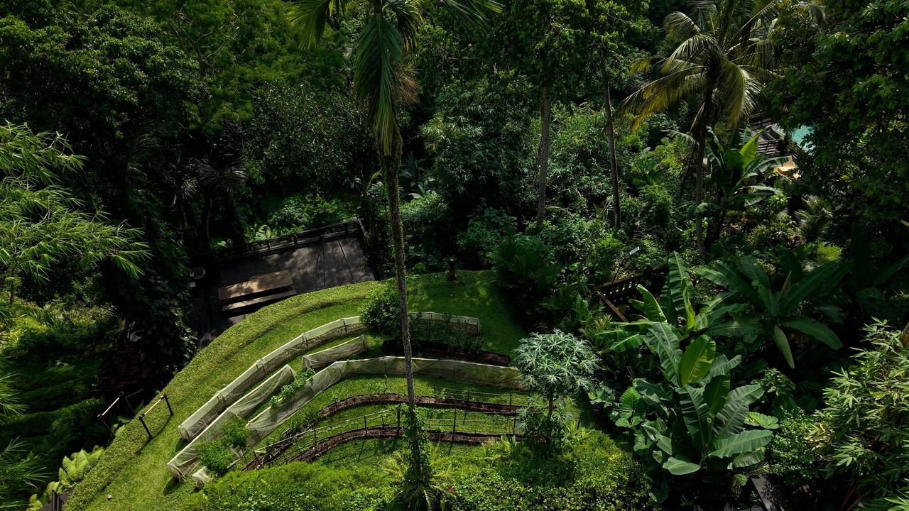 Photo of Outdoor in Kedewatan