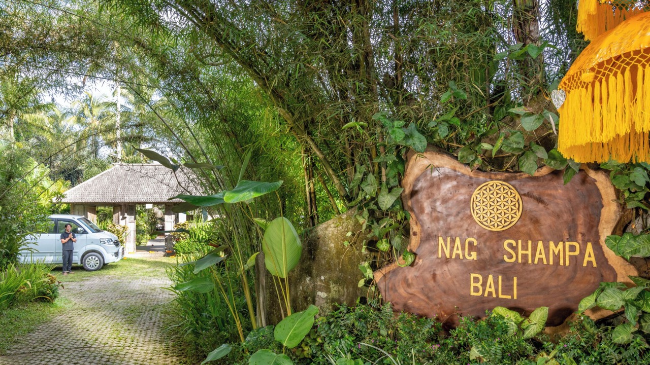 Photo of Outdoor in Taro