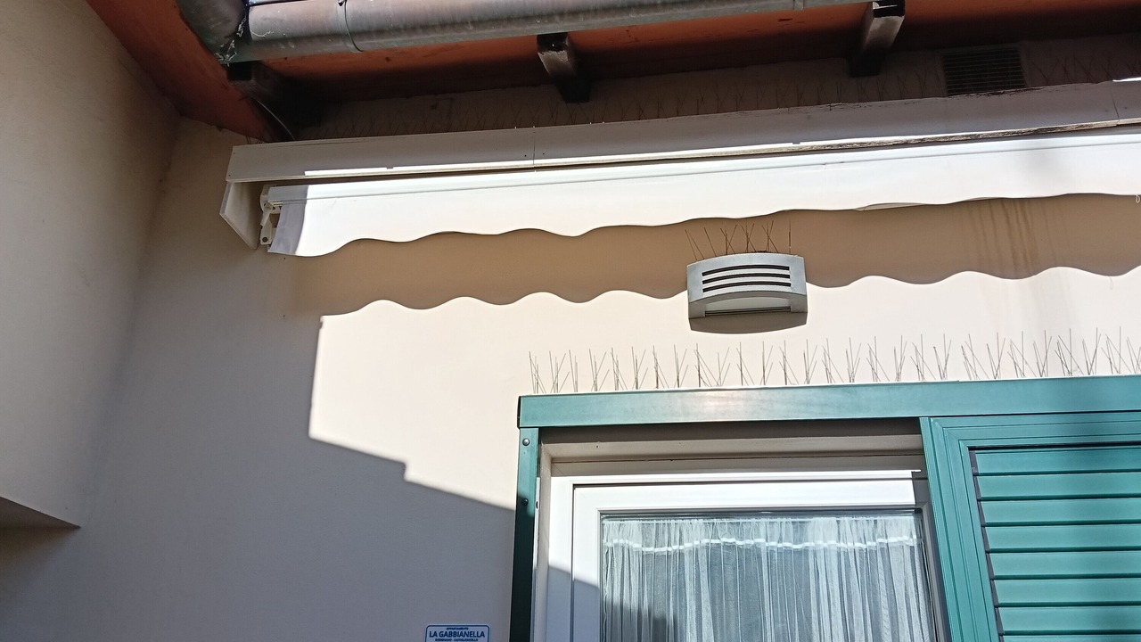 Photo of Outdoor in Rosignano Solvay