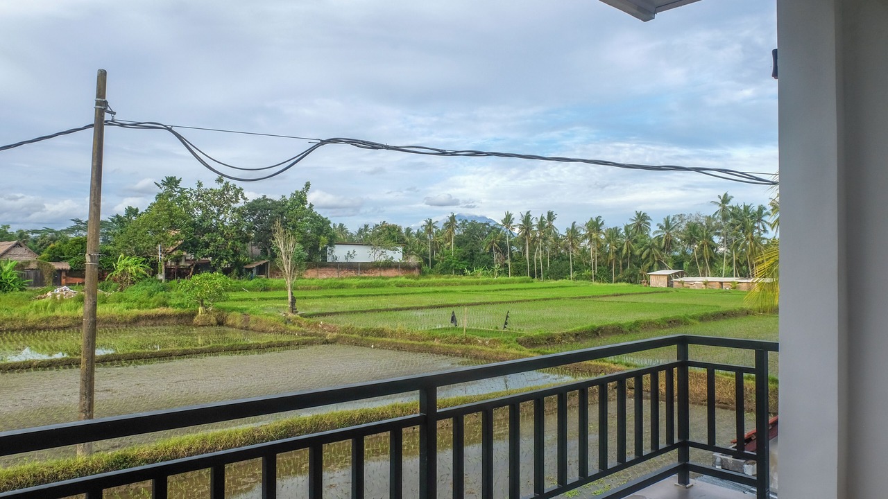 Photo of Outdoor in Mas