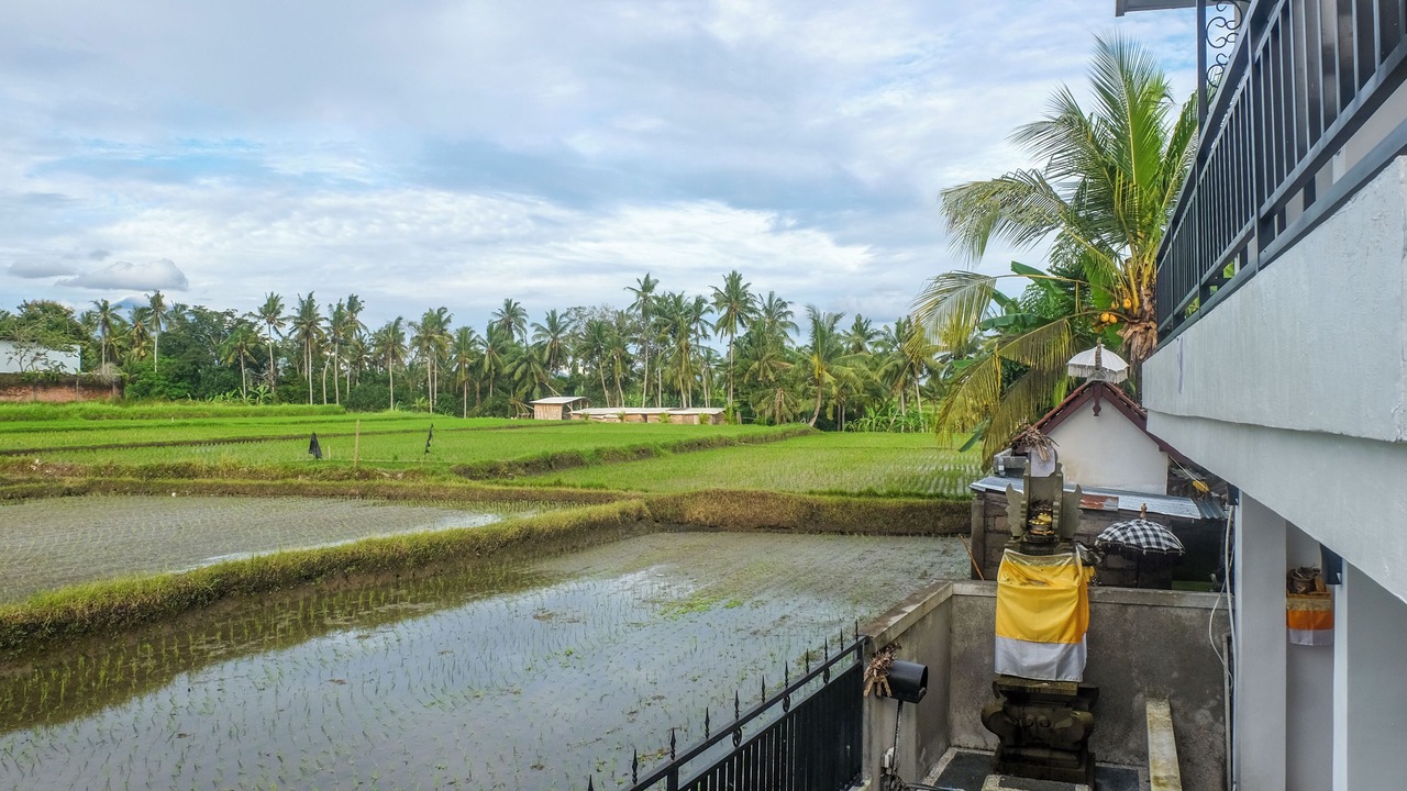 Photo of Outdoor in Mas