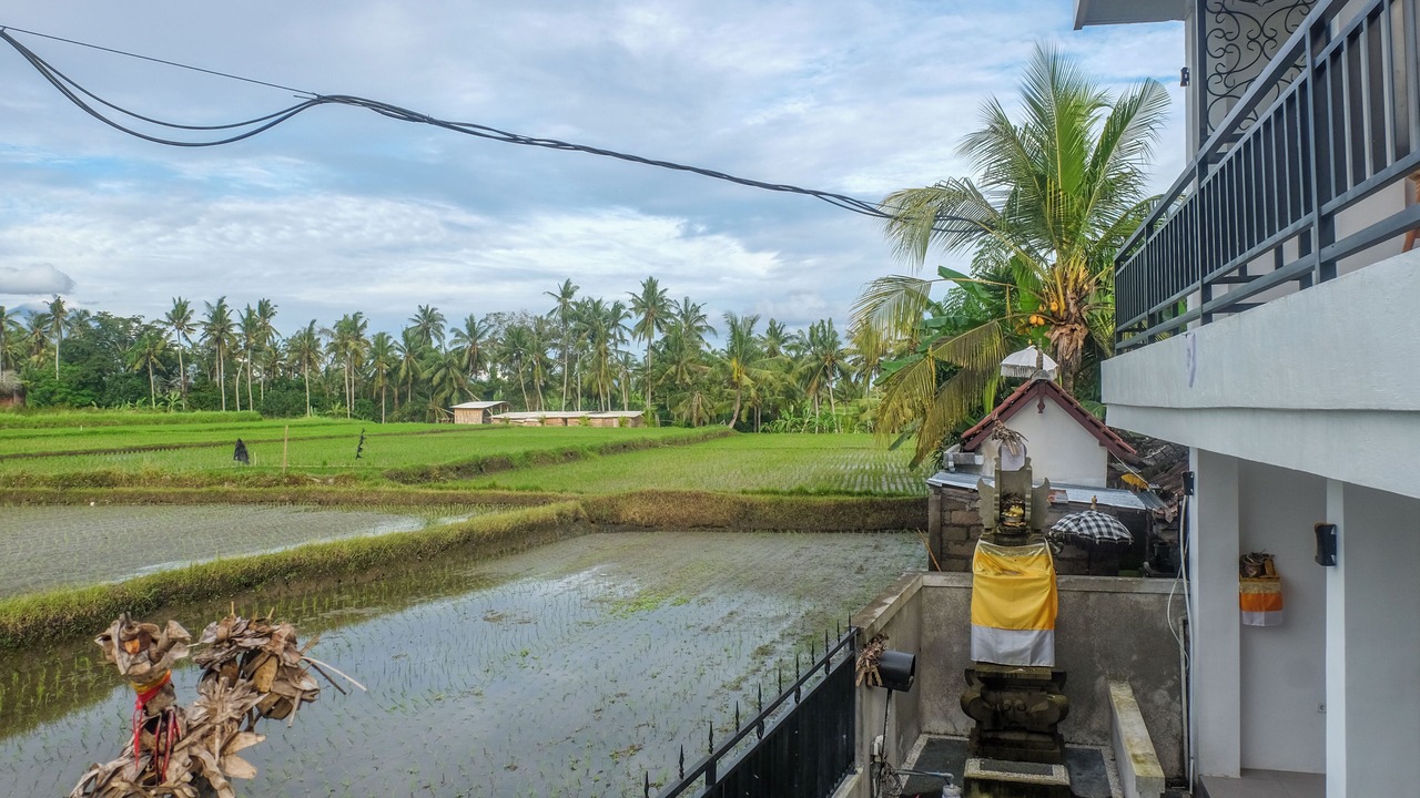 Photo of Outdoor in Mas